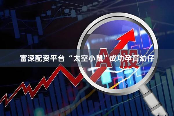 富深配资平台 “太空小鼠”成功孕育幼仔