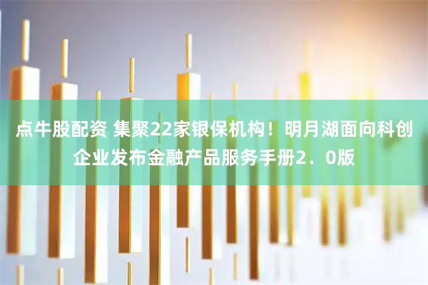 点牛股配资 集聚22家银保机构！明月湖面向科创企业发布金融产品服务手册2．0版